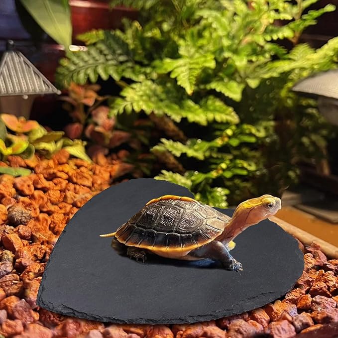 Reptile Basking Platform, 12 × 12 inch Tortoise Rock Plate, Heart Shape Natural Rock Reptile Food Dish, Turtle Feeding Bowl, Habitat Decor for Bearded Dragon Chameleon Frog Lizard Gecko Hermit Crab