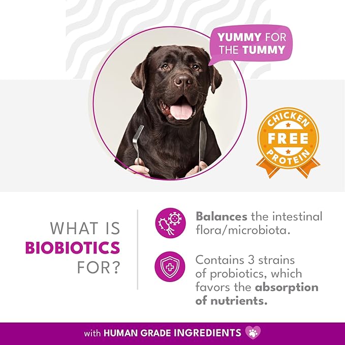 Biobiotics Digestive Support Supplement for Cats & Dogs - Chicken & Herb Flavor - 30 Sachets for Digestive Wellness