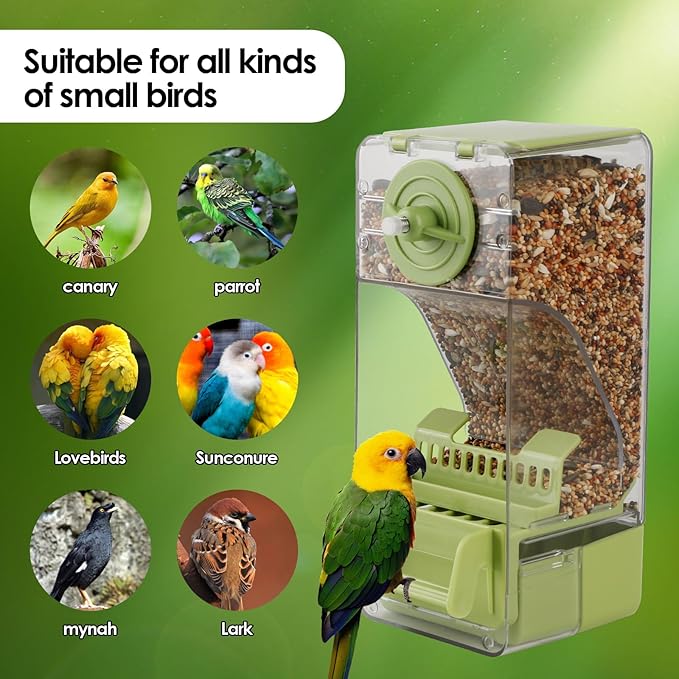 Bird Feeder No Mess 2PCS Automatic Clear Bird Seed Food Container Acrylic Parrot Feeder Dispenser Cage Accessories for Parakeet Budgies Cockatoo Canary Love Bird (Green)