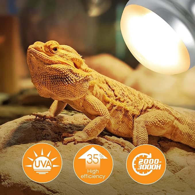 WACOOL 2 Pack 100W Reptile Heat Lamp Bulbs - Intense Basking Spot Lights for Bearded Dragons, Lizards, Turtles, Tortoises, Geckos - UVA Daylight Heat Lamp for Terrariums, Vivariums & Enclosures