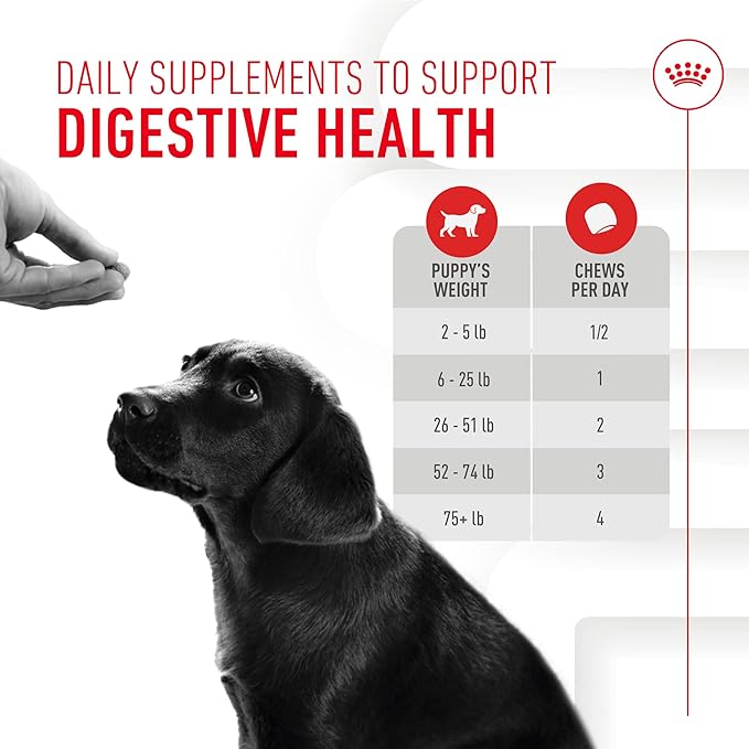 Royal Canin Puppy Supplement Immunity & Digestion Chew Pouch 5.29 oz (60 Count)