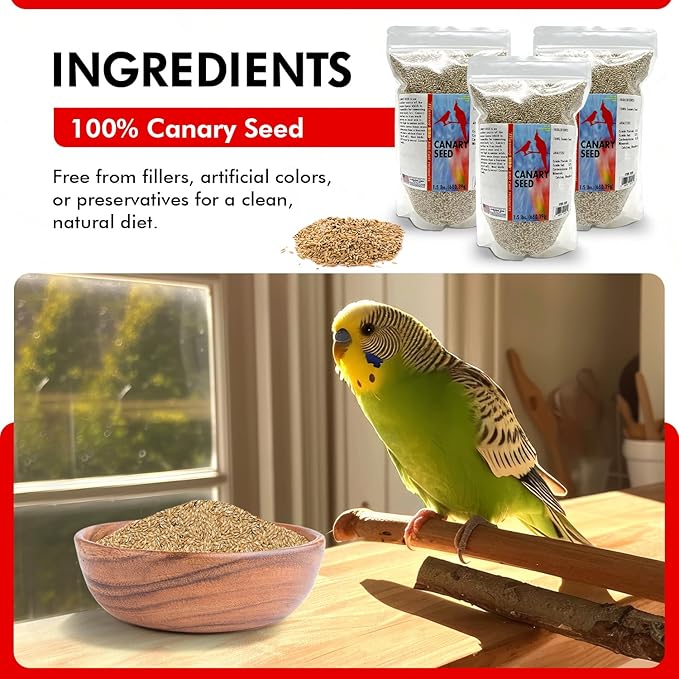 Morning Bird Canary Seed – Nutritional Rich in Vitamins and Supplements for Birds – Ideal for Healthy Feathers and Strong Bones Seed for All Birds Type 4.5 lbs (3-Pack, 1.5 lbs Each)