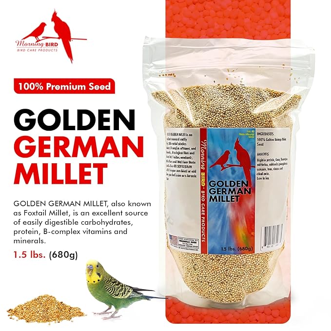 Morning Bird Golden German Millet – Bird Seed & Parakeet Food with Protein, Vitamin B & Fiber – Easy-to-Digest Millet Seed, Natural Food & Daily Nutrition Supplement for All Type of Bird 1.5 lbs