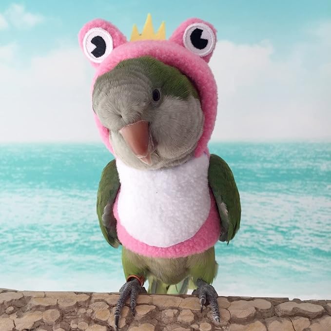 Bird Costume Diaper Flight Suit Frog Shape Hoodie Clothes Cosplay Photo Prop for Parrots Parakeet Cockatiel Sun Conure, Small Animals Apparel (Pink with Diaper, Medium), Green (BPF1)