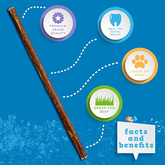 Jack&Pup Dog Bully Sticks for Small Dogs - 12 Inch Thin Bully Sticks for Dogs (5 Pack) Single Ingredient, Long Lasting Pizzle Stick for Puppies, Seniors