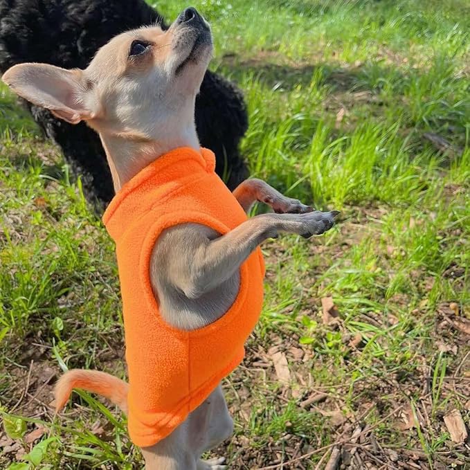 JACKO & CO - Fleece Vest Sweater with Leash Ring - Soft Lightweight Breathable for Puppies Small Medium Dogs, Kitten, Cats, Chihuahua - Warm for Fall/Autumn/Winter (Pumpkin, Medium 6-10lbs)