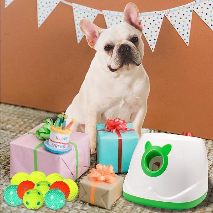 Automatic Ball Launcher for Dogs, Dog Fetch Ball Thrower Launcher, 4 Adjustable Distances, Interactive Pet Self Playing for Small Dogs and Puppies with 10 Balls (2 inches)