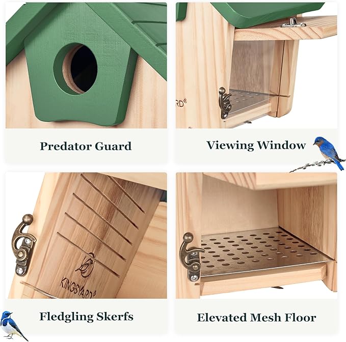 Kingsyard Blue Bird House for Outside - Cedar Wood Nesting Box with Clear View Panel & Predator Guard for Bluebird Wren Swallow Cardinal Finch, Green