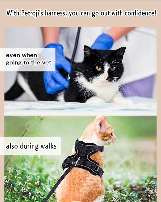 Cat Harness Escape Proof with Leash for Walking, Travel Vest Soft Chest Support, Adjustable Size, Escape Proof Soft Adjustable Vest Harnesses, Breathable, Kittens, Small Dogs (美/背縄/橙1/XS)