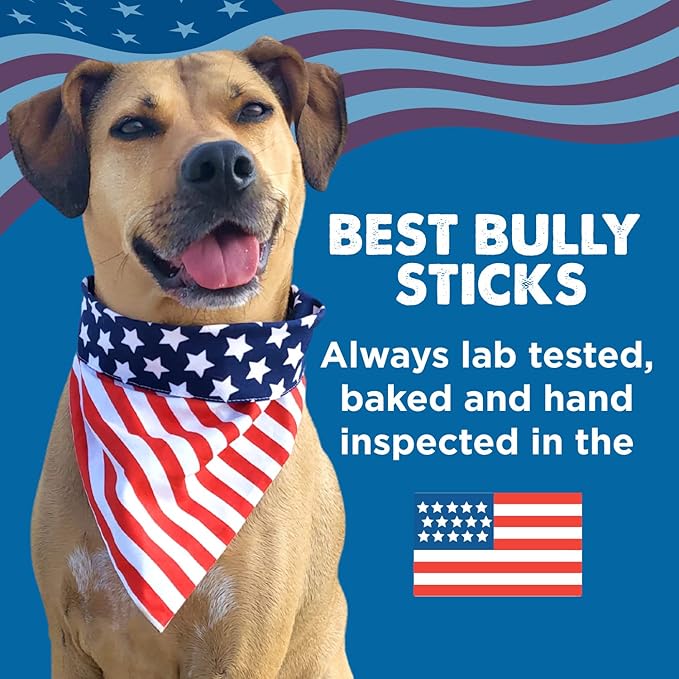 Best Bully Sticks Thick 6 Inch Bully Sticks for Dogs - 5 Count (Pack of 1) - Natural, Grass-Fed Beef, Single Ingredient, Grain and Rawhide Free - Large Breeds