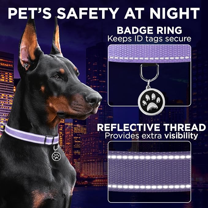 TECEUM Reflective Dog Collar β Lavender β XS β Extra Soft Padding β Basic Nylon Pet Collar β Quick Release Buckle β Fits Small, Medium and Large Dogs, Puppies, Cats β ESA & Service Dog Options