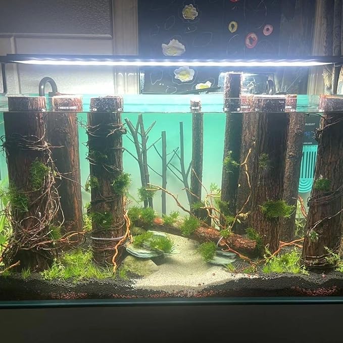 160g Aquarium Driftwood Roots - Bushy Tank Wood for aquascaping - Perfect for Fry, Shrimp or Terrarium,Natural Wood Roots for Aquarium aquascaping