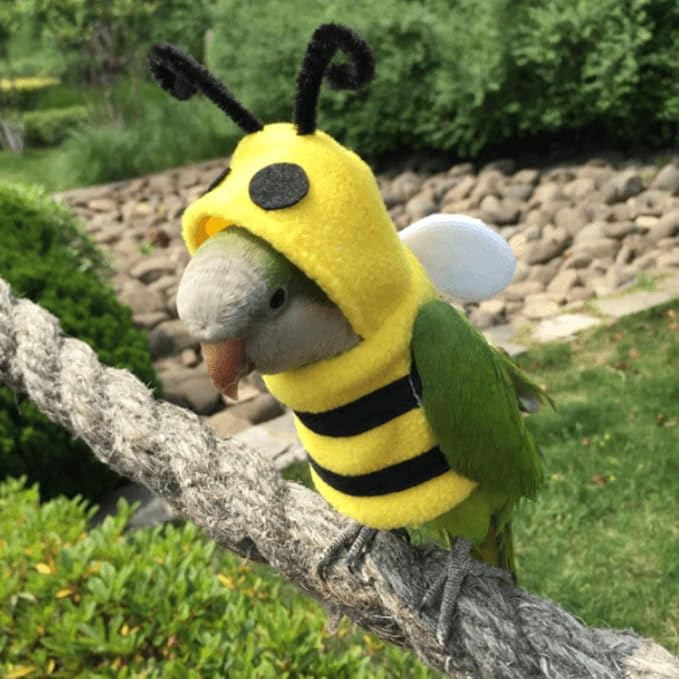 Bird Costume Diaper Flight Suit Bee Shape Clothes Cosplay Photo Prop for Parrots Lovebird Budgie Parakeet Cockatiel Sun Conure, Small Animals Apparel (Bee Without, Small), Green, BPF1