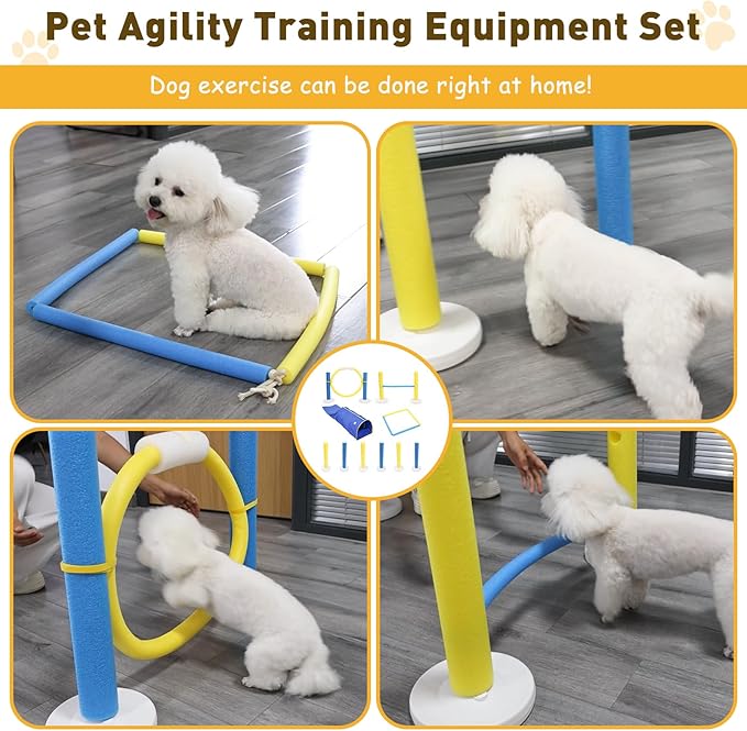 Pet Agility Training Equipment Set with Stable Tunnel,Dog Interactive Obstacle Jump Ring Kit for Indoor