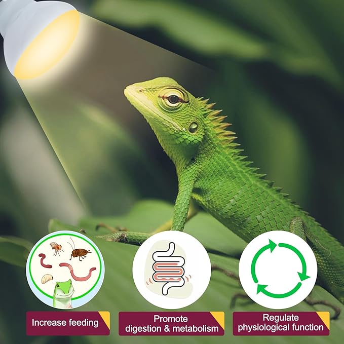 150W Reptile Heat Lamp Bulb 2 Pack,Basking Spot Lamp Bulb for Reptiles & Amphibians,Reptile Daylight Heat Bulb for Bearded Dragon, Lizard, Turtle