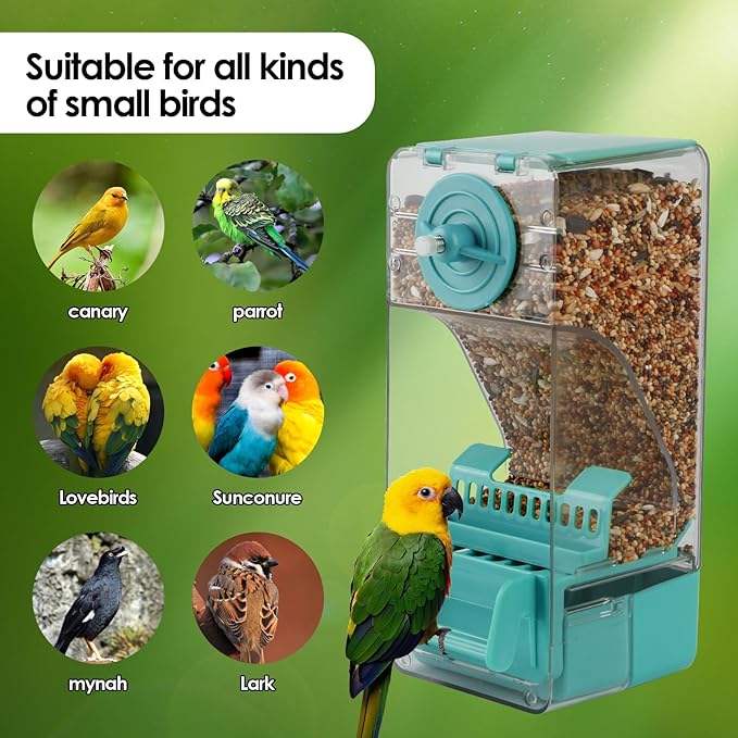 Bird Feeder No Mess 2PCS Automatic Clear Bird Seed Food Container Acrylic Parrot Feeder Dispenser Cage Accessories for Parakeet Budgies Cockatoo Canary Love Bird (Blue)