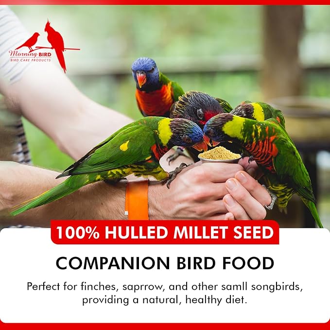 Morning Bird Hulled Millet – Nutritious Seed, Easily Digestible with High Fiber, Rich in Vitamins and Supplements for Birds, Ideal Bird Feed for All Bird Types, 18 lbs (2-Pack, 9 lbs Each)