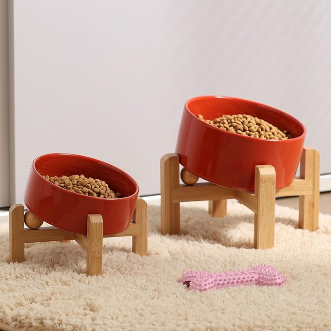 Petygooing Raised/Elevated 15°Slanted Ceramic Dog Bowl for Small Breeds,Tilted Anti Slip Pet Feeding Bowl,Food Water Dish with Stand for Cats and Small Dogs Puppy 13.5 OZ (5.1In / 1.7 Cups) Rust Red