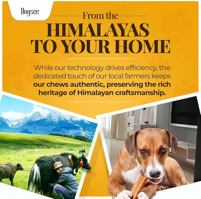 Dogsee Himalayan Yak Cheese with Turmeric 1lb (Small - 13 Pieces) | Rawhide-Free Treats for Small Dogs | Supports Joint Health | Improves Dental Health