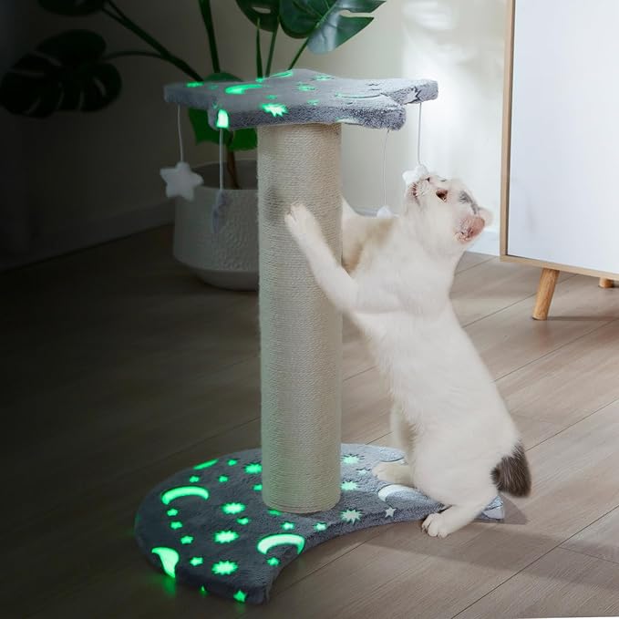 LUCKITTY Small Cat Scratching Post with Star Moon Design, Glow-in-The-Dark Fabric, 5 Plush Toys, Kitten Stratcher Tree Protecting Your Furniture,16 in Wide by 20 in High