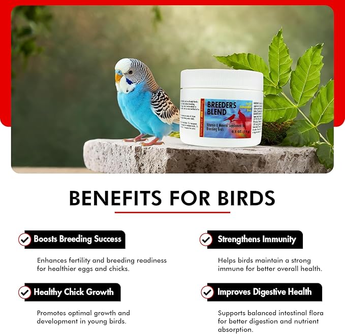 Morning Bird Breeders Blend 0.5 oz – Protein Supplement for Birds – Supports Breeding, Chick Growth, Muscle Development & Immune Support – Daily Vitamin Blend for Strong Bones & Overall Health