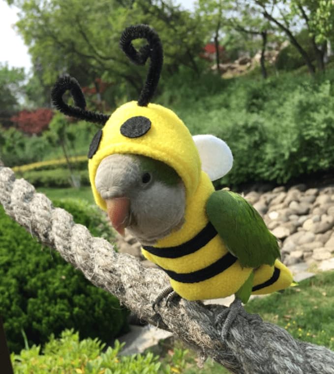 Bird Costume Diaper Flight Suit Bee Shape Hoodie Clothes Cosplay Photo Prop for Parrots Parakeet Cockatiel Sun Conure, Small Animals Apparel (Bee with Diaper, Medium), Green (BPF1)
