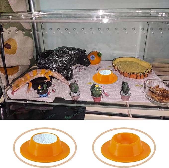 2 Pack Leopard Gecko Food Dish Gecko Calcium Dish Reptile Water Food Bowl Calcium Bowl for Bearded Dragon Lizard Turtle Gecko Jumping Spider