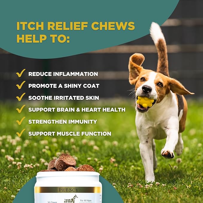PetScy Dog Itch Relief Chews with Omega 3 Fatty Acids, EPA & DHA | Itch Relief for Dogs Nutritional Support, Immunity & Muscles | Itchy Skin Treatment for Dogs of All Ages, Pork Flavor - 30 Chews