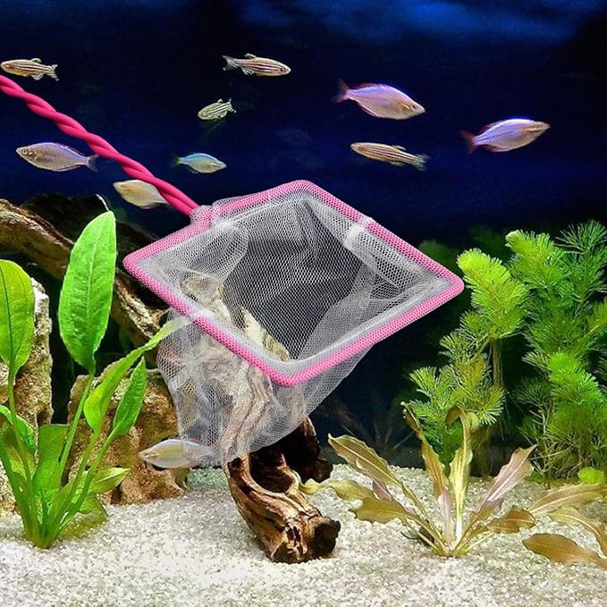 3 Pcs Tank Net Aquarium Fish Net Fish Landing Net Aquarium Fishing Net Fish