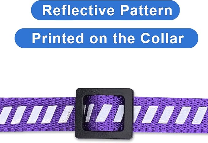 Pawtitas Personalized Cat Collar with Safety Buckle and Removable Bell Cat Collar with Name Phone Number Kitten Adjustable Collar Customized Cat Collar | Purple Reflective Collar for Cats