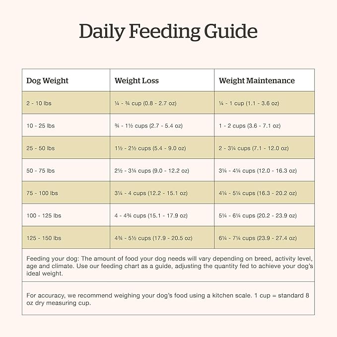 Now Fresh Grain-Free Premium Dry Dog Food with Lamb & Pork, Healthy Kibble for Adults Made with Real Red Meat, Chicken-Free Recipe, Enhanced with Pumpkin & Probiotics for Good Digestion, 3.5 lb Bag