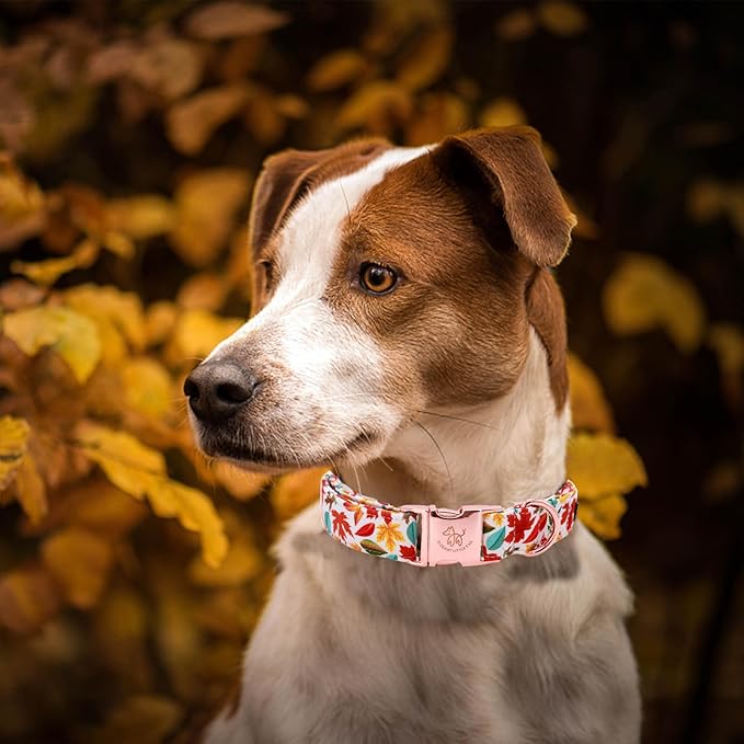 Elegant little tail Fall Dog Collar, Autumn Leaves Pet Collar Durable Dog Collars Male or Female Holiday Pet Gift Adjustable Dog Collar for Large Dogs