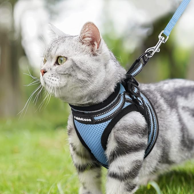 rabbitgoo Cat Harness and Leash Set for Walking Escape Proof, Adjustable Soft Kittens Vest with Reflective Strip for Cats, Comfortable Outdoor Vest, Light Blue, L