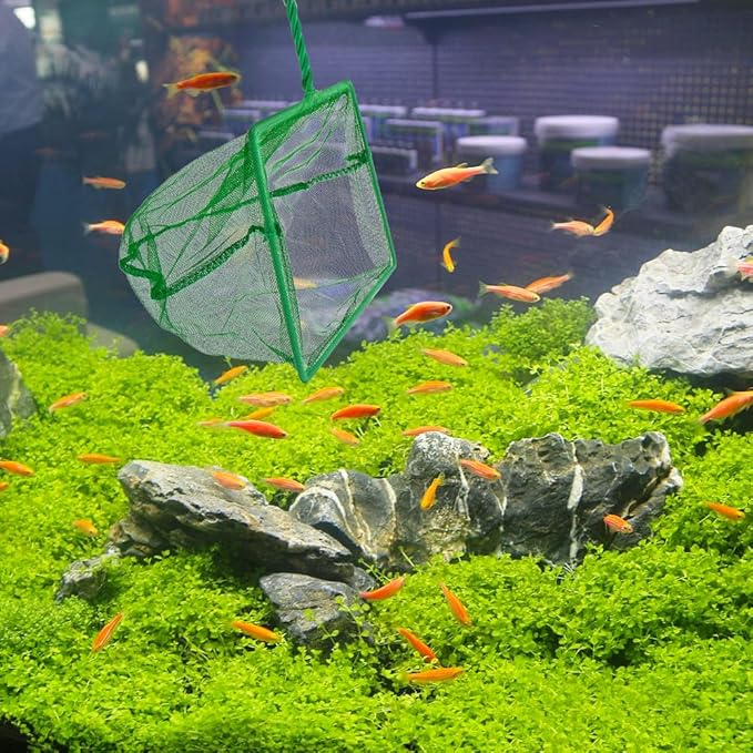 3 Pack Fish Net Aquarium Fine Fishing Mesh with Plastic Handle, 6-Inch