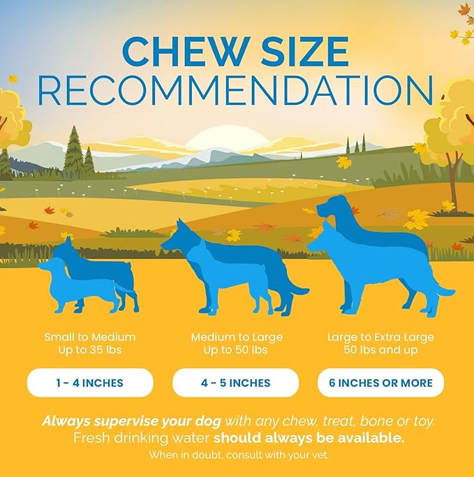 Assorted Natural Dog Chews - Lamb, Beef, Pork & Chicken Jerky Mixed Dog Treats, Digestible Gluten Free Chews, Long Lasting, All Breeds Variety Pack | 4 lb