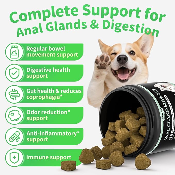 Anal Gland Support Chews for Dogs - with Pumpkin, Digestive Enzymes & Probiotics for Dog Gut Health - Scoot Treatment, Constipation, Deters Stool Eating, Odor Control - Chicken Flavor-60 Count