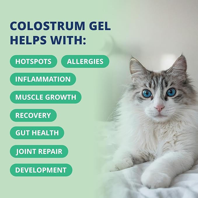 Under the Weather Colostrum Gel for Cats Immune Support Supplement | Salmon Oil & Probiotic Supplement | Natural Allergy Relief, Gut Health & Anti-Inflammatory Formula for Kittens & Senior Cats | 30cc