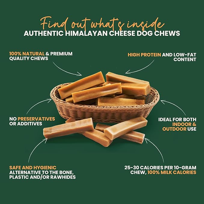 100% Natural Himalayan Yak Cheese for Dogs - XLarge (Pack of 1) - Sourced from Pristine Himalayan Foothill, Rawhide-Free, NO preservatives