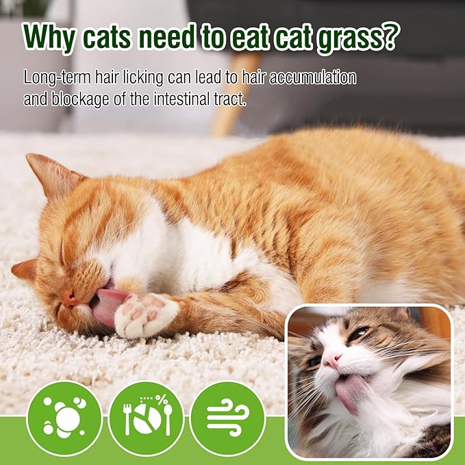 Cat Grass Teething Sticks, 3.52Oz Edible Freezed Drying Cat Grass Treats, Cats Snacks for Hairball Removal and Dental Care