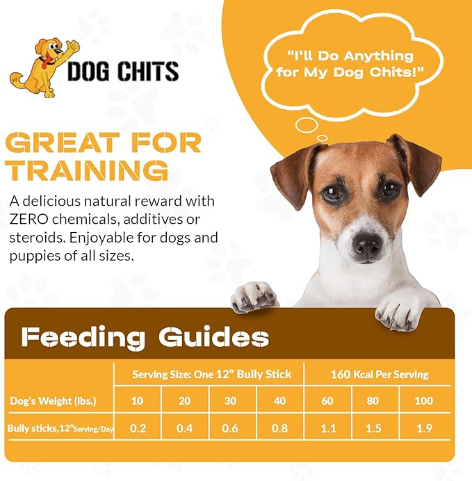Dog Chits Bully Sticks for Dogs and Puppies | 12-inch, 6 Pack | Natural Healthy Long Lasting Chew for Large and Small Dogs Protein Treats | Odor Free
