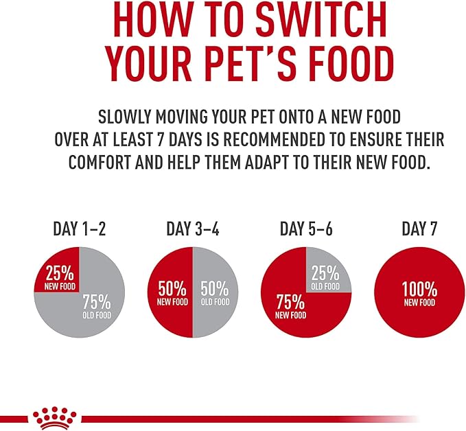 Royal Canin Feline Care Nutrition Digestive Care Adult Dry Cat Food, 6 lb Bag