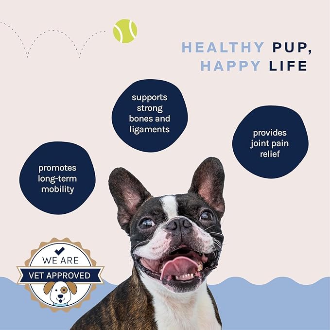 Good Trouble Pets Hip & Joint Supplement for Dogs - Bacon & Chicken Flavor, 30 Chews - Enhance Joint Health & Mobility for Your Canine Companion (Packs of 3)