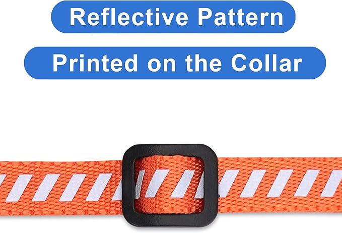 Pawtitas Personalized Cat Collar with Safety Buckle and Removable Bell Cat Collar with Name Phone Number Kitten Adjustable Collar Customized Cat Collar | Orange Reflective Collar for Cats