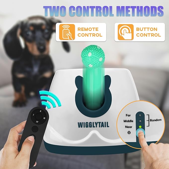 Automatic Ball Launcher for Dogs, Dog Ball Fetch Machine with Remote Control, Interactive Pet Self Playing for Small Dogs and Puppies with 10 Balls (2 inches)