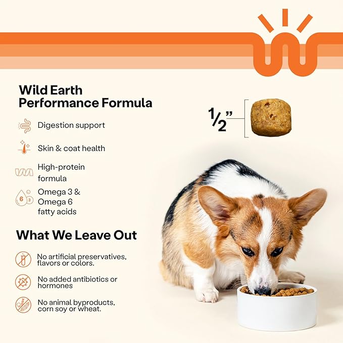 Wild Earth Vegan Dry Dog Food | Plant-Based Maintenance Formula | Vegetarian, Allergy Relief, Veterinarian-Developed for Complete Nutrition | Classic Roast Flavor, 4 Pound Bag