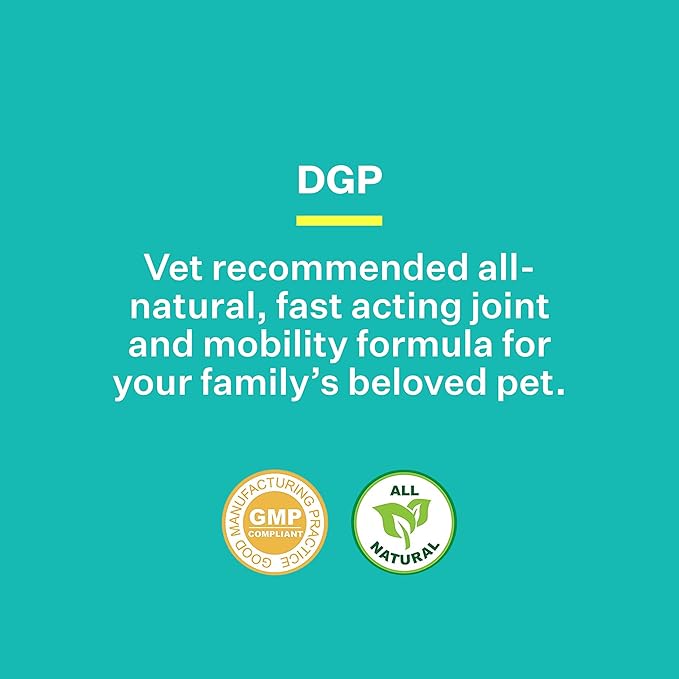 DGP, All-Natural Joint Supplement for Dogs - Joint Support with Turmeric Boswellia Extract - 60 Chewable Pet Tablets per Bottle (60 Count (Pack of 1))