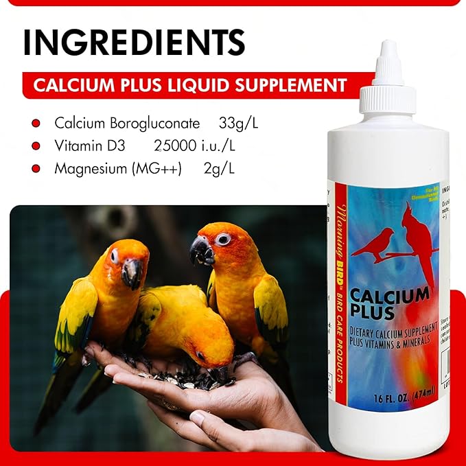 Morning Bird Calcium Plus Liquid Supplement for Birds - Liquid Calcium Formula with Magnesium and Vitamin D3 Calcium Supplement for All Birds – 16 Fl Oz