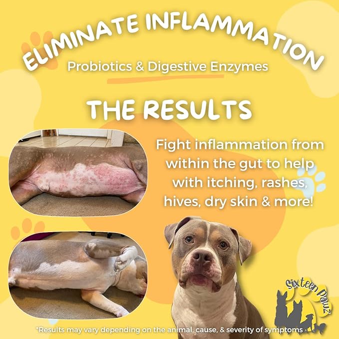 Dog & Cat Probiotics, Prebiotics, & Digestive Enzymes โ Flavorless Powder for Gut Health, Allergies, Itchy Skin, Gas & Diarrhea โ Organic, Vet-Approved โ 65g Bottle (Up to 65 Servings)