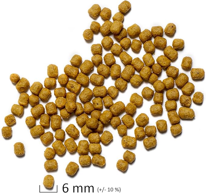 Psittacus Parrot Maintenance 6.6 lb | Complete Pellet Diet for Caiques, Macaws, African Greys and Amazonas | Premium Food for Birds, 100% no-GMO