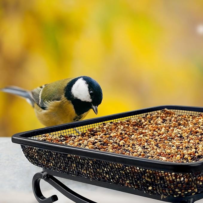 MIXXIDEA Ground Platform Bird Feeder Metal Seed Tray for Outside Garden Wild Bird Feeders with Drainage Holes Great Attracting for Birds and Squirrels, Wonderful Decoration for Backyard – Pack of 2